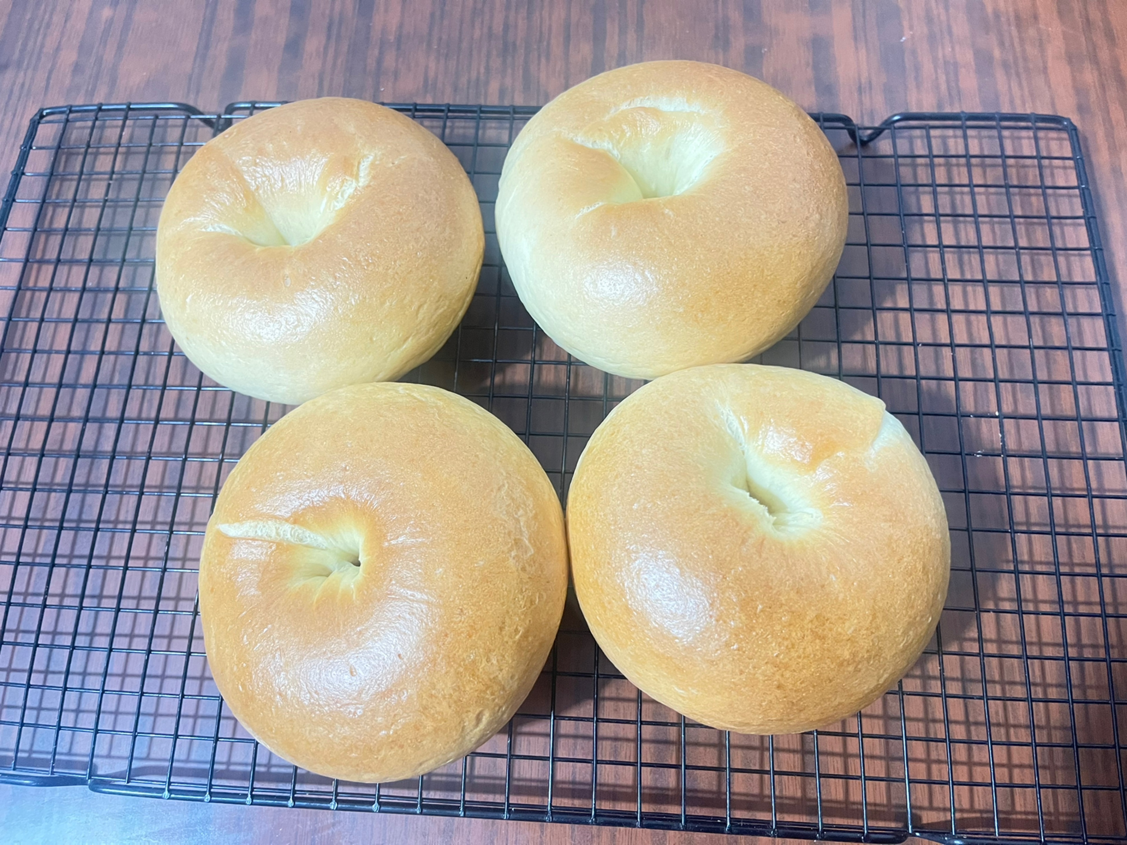 Homemade Plain Bagel Recipe