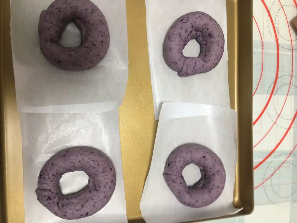 Blueberry Bagel Recipe