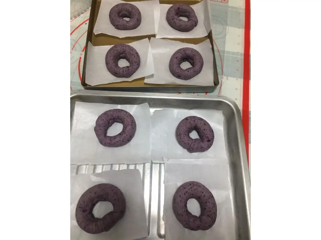 Blueberry Bagel Recipe