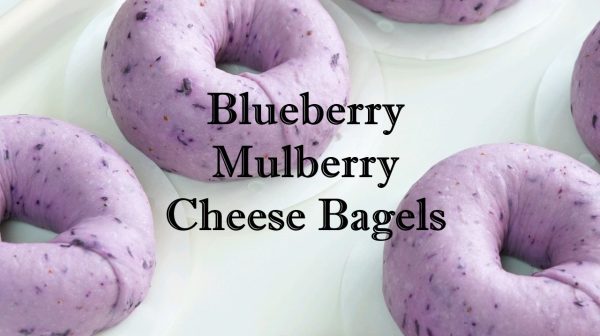 Blueberry Mulberry Cheese Bagels Recipe