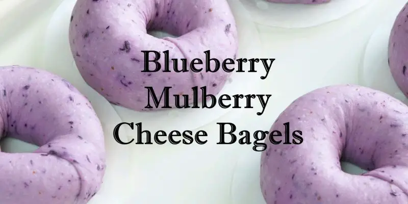 Blueberry Mulberry Cheese Bagels Recipe