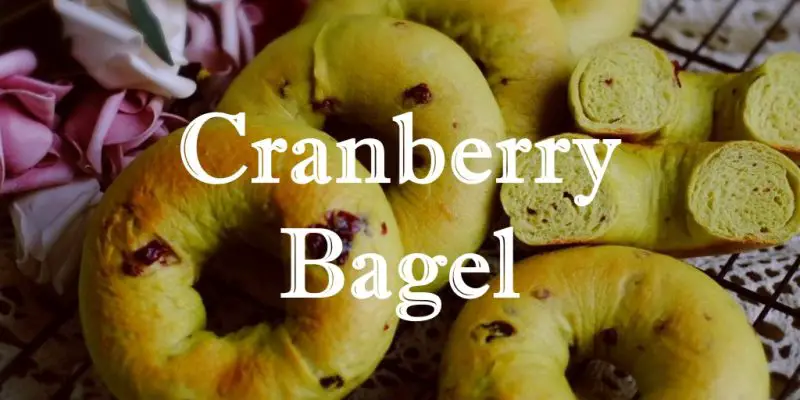 Cranberry Bagel Recipe