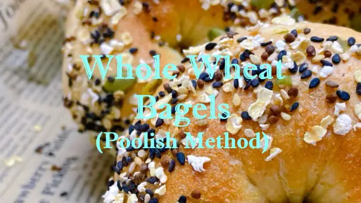 (Poolish Method) Whole Wheat Bagels Recipe