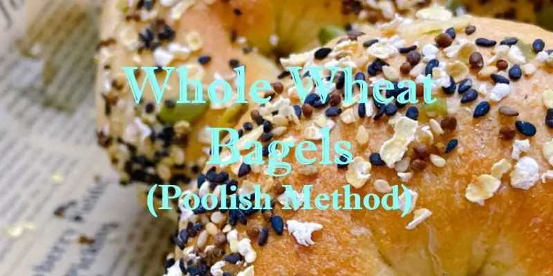 (Poolish Method) Whole Wheat Bagels Recipe