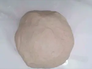 Poolish Method Whole Wheat Bagels